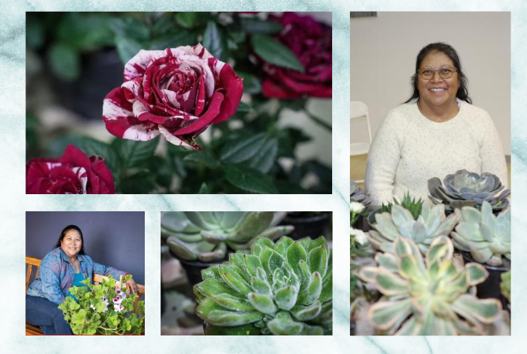 Screen Shot 2022-12-05 at 12.34.54 PM