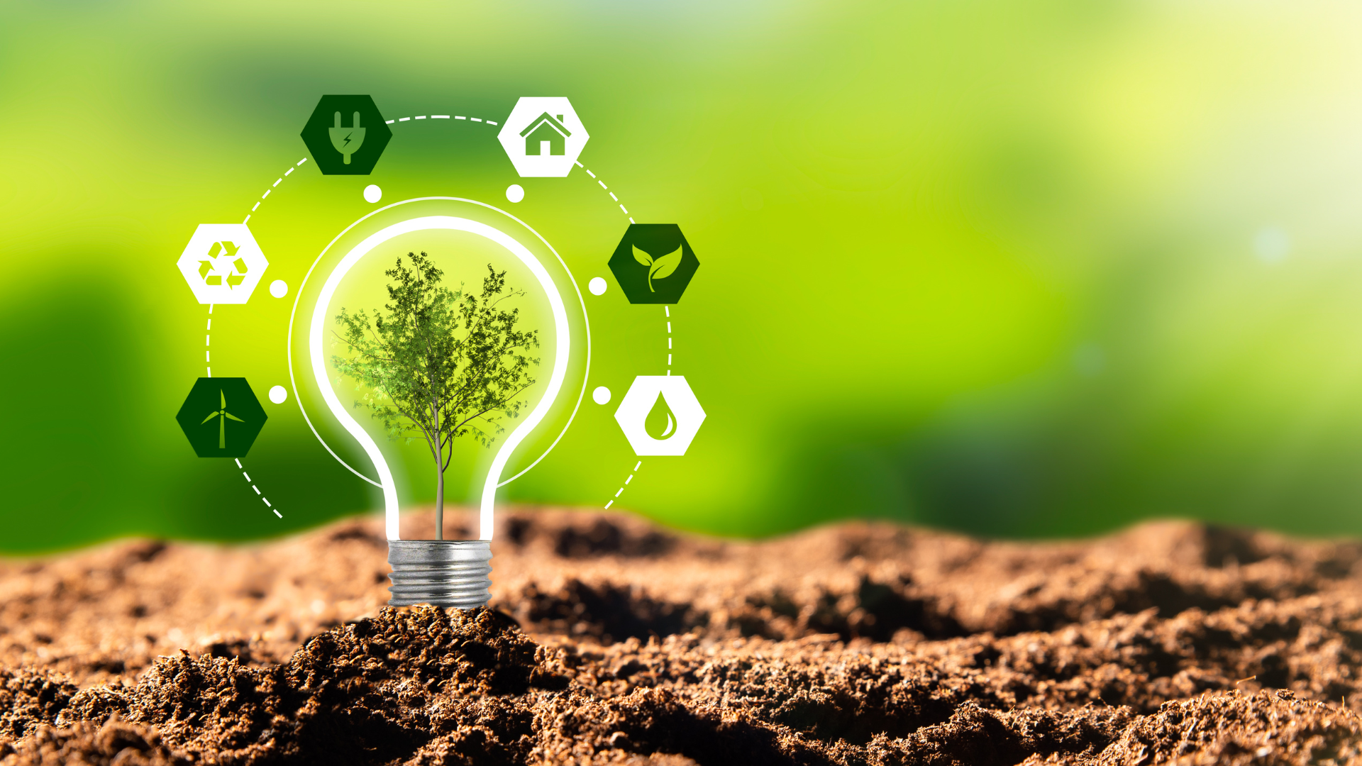 Sustainable Fashion for Entrepreneurs